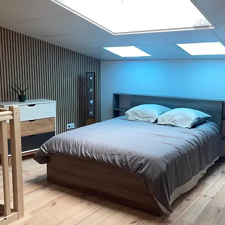 Magnifique Loft Pour 6 Personnes Apartment Lourdes