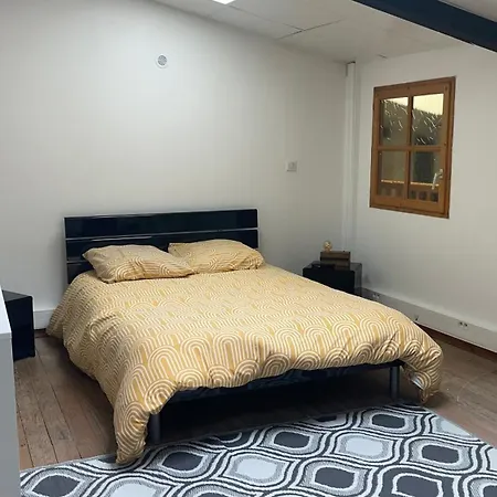 Magnifique Loft Pour 6 Personnes * Lourdes