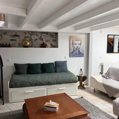 Magnifique Loft Pour 6 Personnes Lourdes